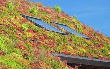 Ashton In Makerfield living roof systems