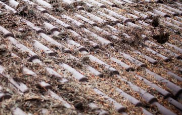 Ashton In Makerfield roof cleaning companies